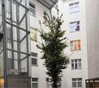 Hofansicht - 2 Zimmer Etagenwohnung in Berlin