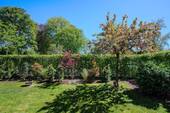 Gartenansicht Nr. 1 - 6 Zimmer Etagenwohnung zum Kaufen in Grasbrunn