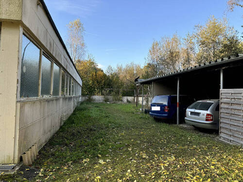 Bild5 - 