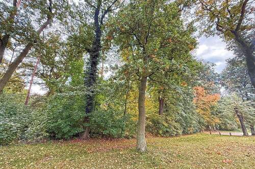 Blick aufs Grundstück - Grundstück in Storkow zum Kaufen