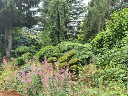 Gartengestaltung 2 - 