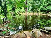 Fischteich - !!! Gebotsverfahren !!! Ehemaliger Schaugarten einer Baumschule möchte wiederbelebt werden!