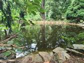 Fischteich - 