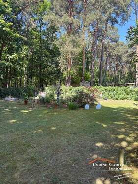 Gemeinschaftsgarten - 