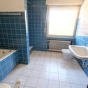 Bild11 - 