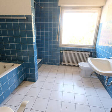 Bild11 - 