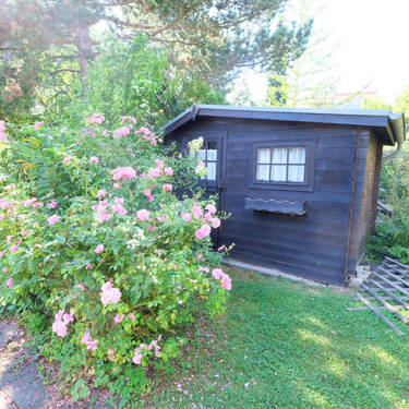 Bild29 - 