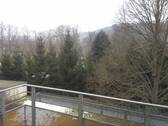 Ausblick vom Balkon - 2 Zimmer Etagenwohnung zur Miete in Berga/Elster
