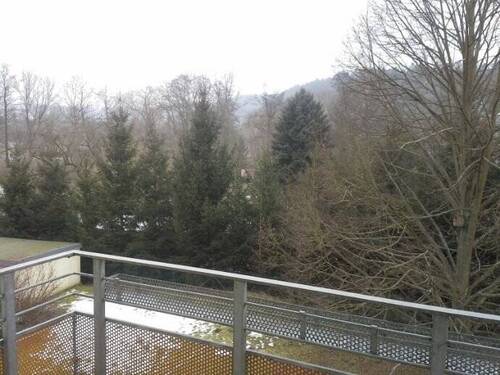 Ausblick vom Balkon - 2 Zimmer Etagenwohnung zur Miete in Berga/Elster