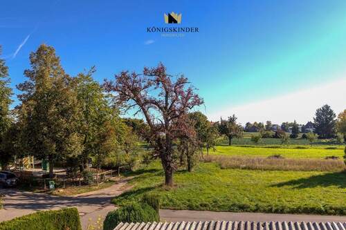 Aussicht von der Dachterrasse - 5 Zimmer Einfamilienhaus zum Kaufen in Filderstadt