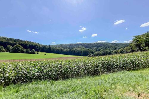 Idyllischer Ausblick - Ihr Rückzugsort im Grünen - Gestalten Sie Ihr Traumhaus in idyllischer Lage