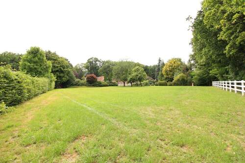 Weide hinter dem Haus - 