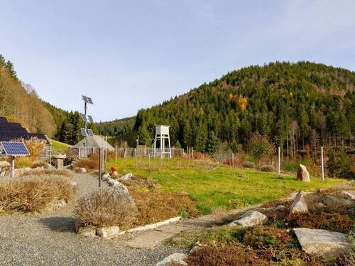 Großzügiger Garten - 