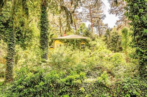 verwunschener Garten - 