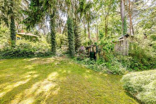 Garten mit Baumbestand - 