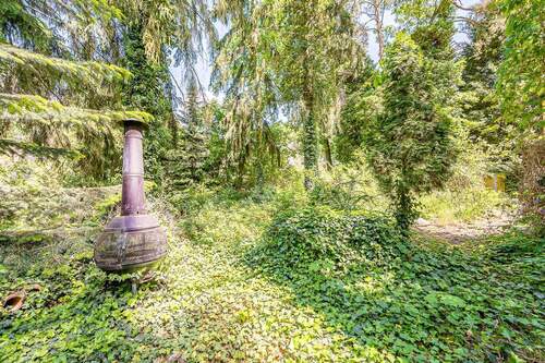 verwunschener Garten - 