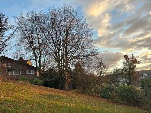 Blick zur Seite - Grundstück in Menden
