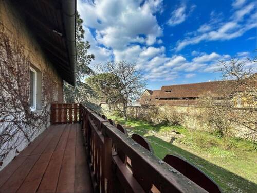 Blick in den Garten - 