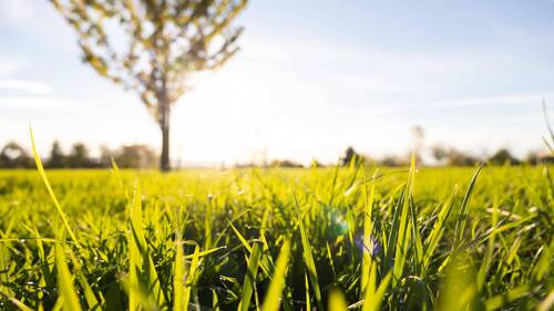 Bild 1 - Wohnbaugrundstück in Pirna - 121.900,00&nbsp;EUR Kaufpreis, ca.&nbsp; 0,00&nbsp;m&sup2;