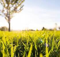 Wohnbaugrundstück in Pirna - 121.900,00&nbsp;EUR Kaufpreis, ca.&nbsp; 0,00&nbsp;m&sup2; in Pirna (PLZ: 01796)