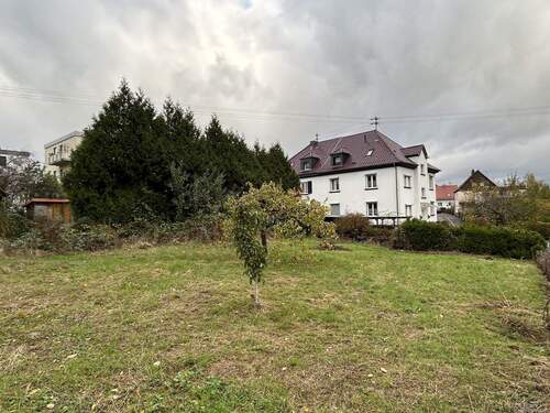 Grundstück - Grundstück in Sankt Wendel zum Kaufen