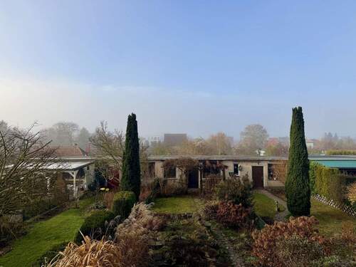 Blick in den Garten - 