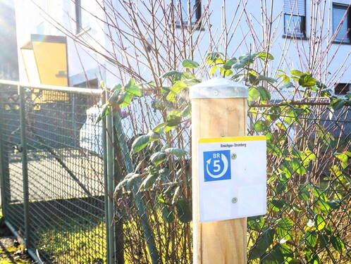 Bild 29 - 