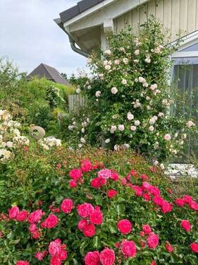 Garten - 