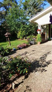 SOMMERFOTO DER EIGENTÜMERIN - 