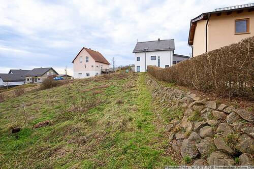 Blick zur Straße - 