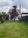 Garten - 3 Zimmer Reihenmittelhaus zum Kaufen in Chemnitz
