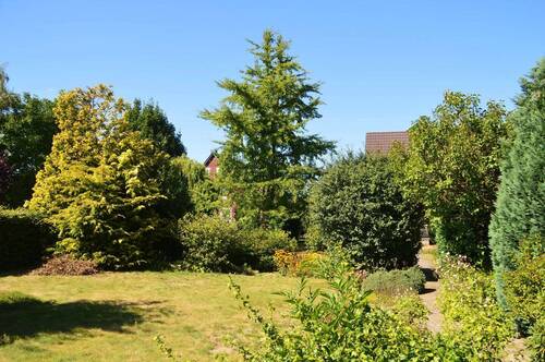 Schön angelegter Garten - 