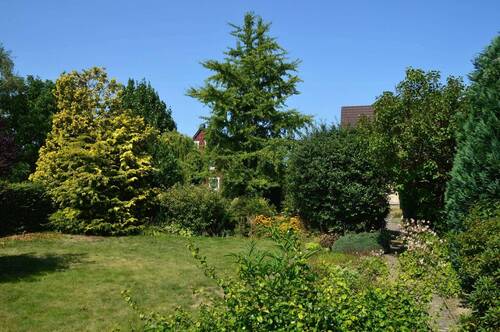 Schön bewachsener Garten - 5 Zimmer Einfamilienhaus in Pattensen