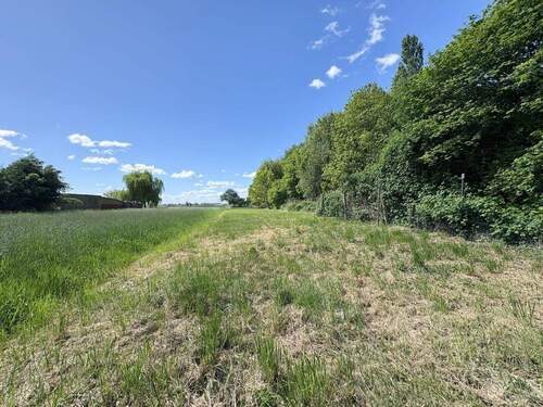 und idyllischer weitläufiger Gartenfläche - 