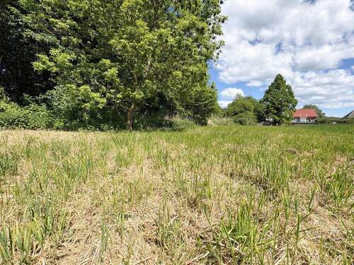 sattes Grün direkt hinter dem Haus - 