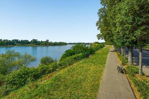 Rheinblick - 
