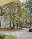 Innenhof - 
