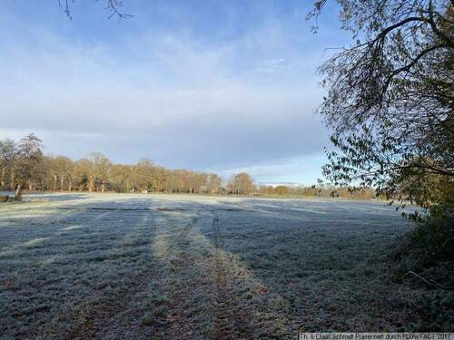 Blick auf die Weide, hinterer Bereich optional - 