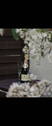 Bild 10 - 