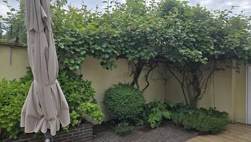 Garten - 