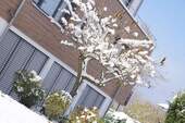 Wintertraum am See.JPG - 