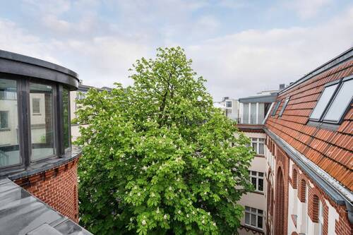 Bild 11 - 