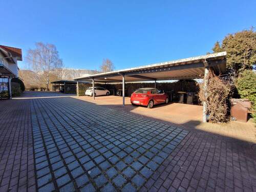 20260305_143218.jpg - 