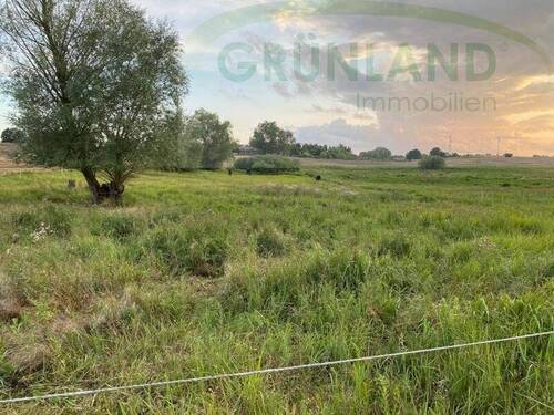 Bild 3 - Grundstück in Landin