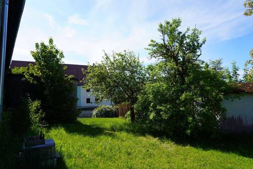 Leben in der Natur - 