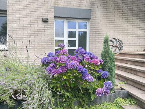 Hausansicht im Sommer - 202603 Familienhaus mit Garten im citynahen Grünen für stilvolles Wohnen auf drei Ebenen