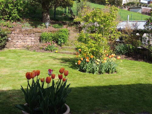 Garten - 