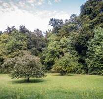 Bis 1238 qm in Seenähe und direkt am Wald! Ruhiges Baugrundstück in Stolzenhagen - Wandlitz