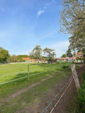 Blick auf Grünflächen und Trail - 