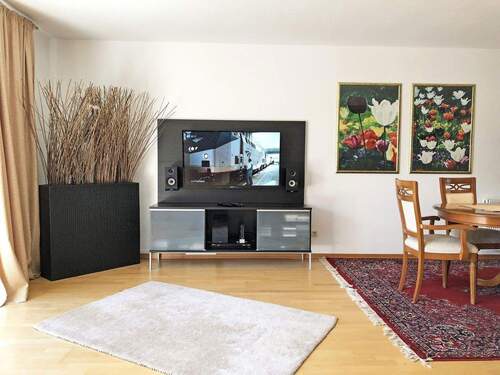 Smart-TV, Wii u. Stereo-Anlage - 